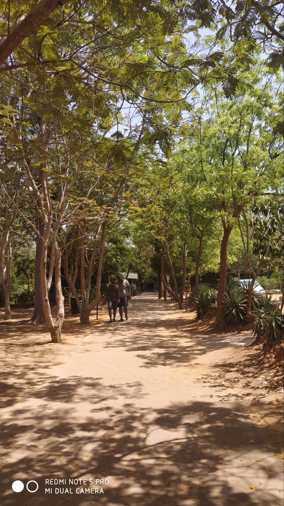 Photo of White Town, Puducherry, India by wee_gypsy_soul