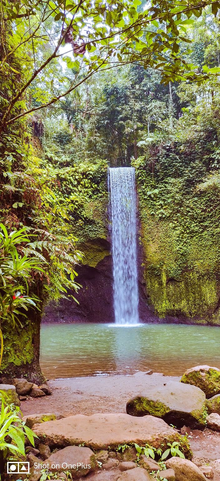 Photo of Tibumana Waterfall, Apuan, Bangli Regency, Bali, Indonesia by wee_gypsy_soul