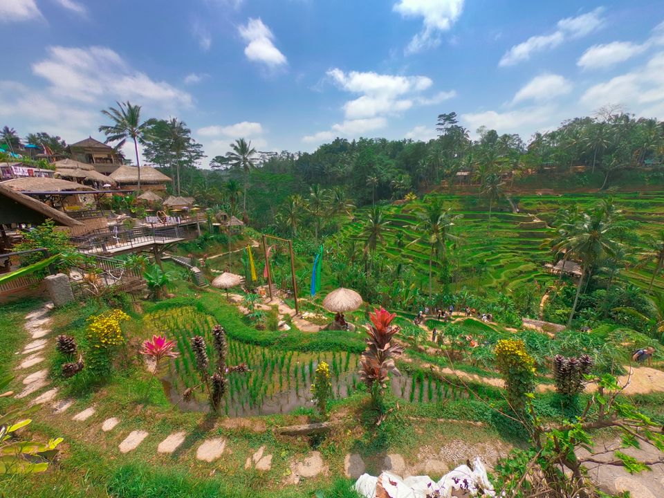 Photo of Tegallalang Rice Terrace, Jalan Raya Tegallalang, Tegallalang, Gianyar, Bali, Indonesia by wee_gypsy_soul