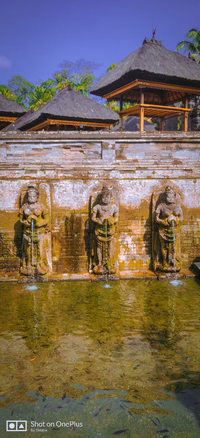 Photo of Goa Gajah, Bedulu, Gianyar, Bali, Indonesia by wee_gypsy_soul