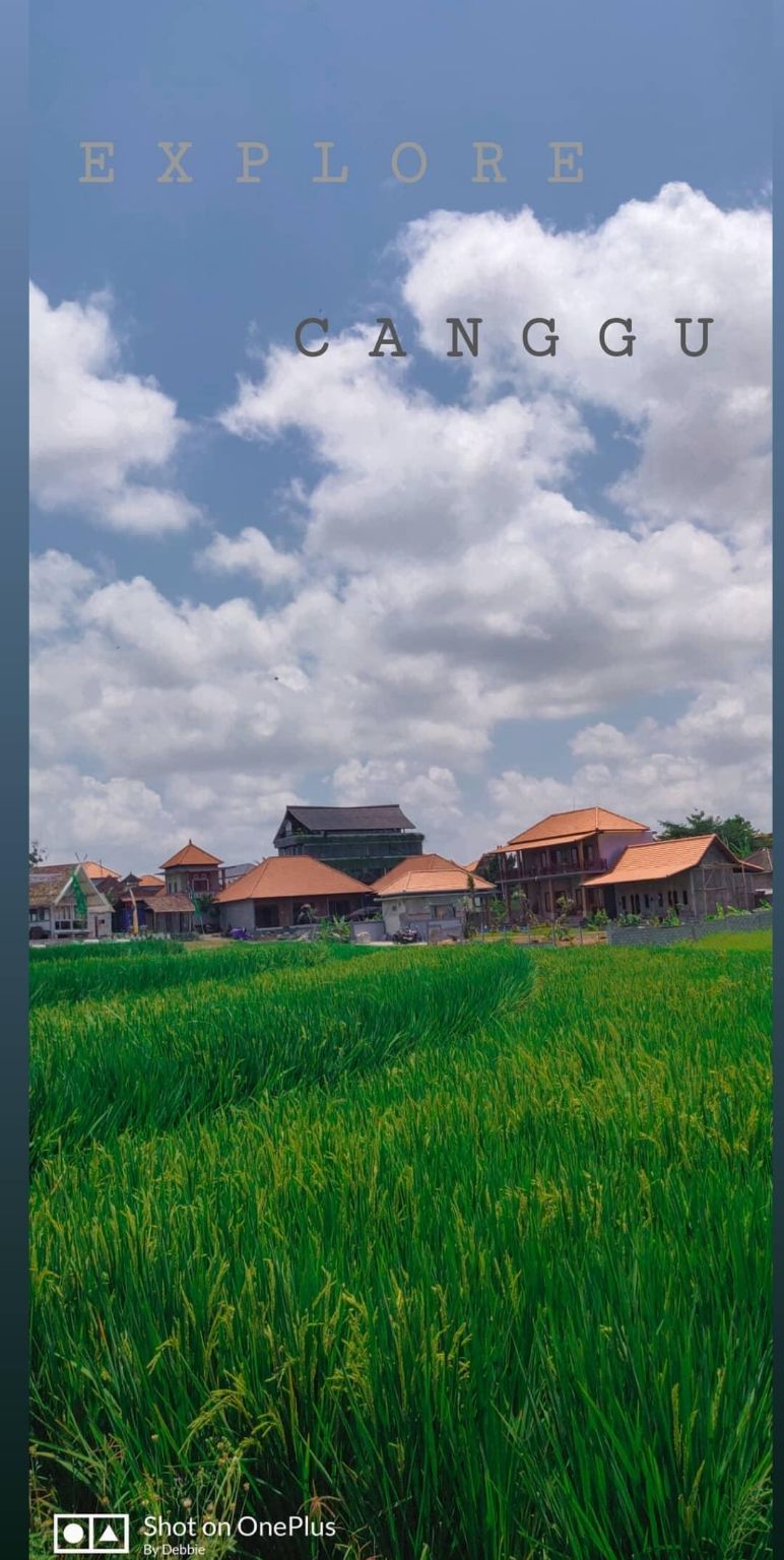 Photo of Canggu Beach, Canggu, Badung Regency, Bali, Indonesia by wee_gypsy_soul