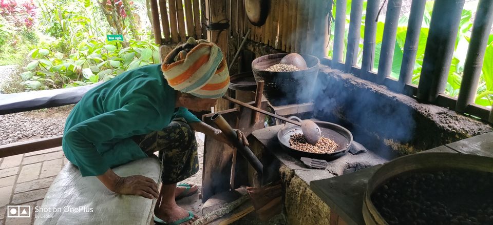 Photo of Coffee Plantasion, Jalan Raya Tegal Suci, Sebatu, Gianyar, Bali, Indonesia by wee_gypsy_soul