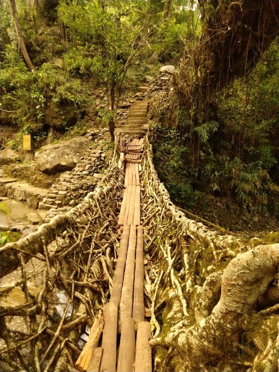 Photo of Stairway to Heaven by Vatsala