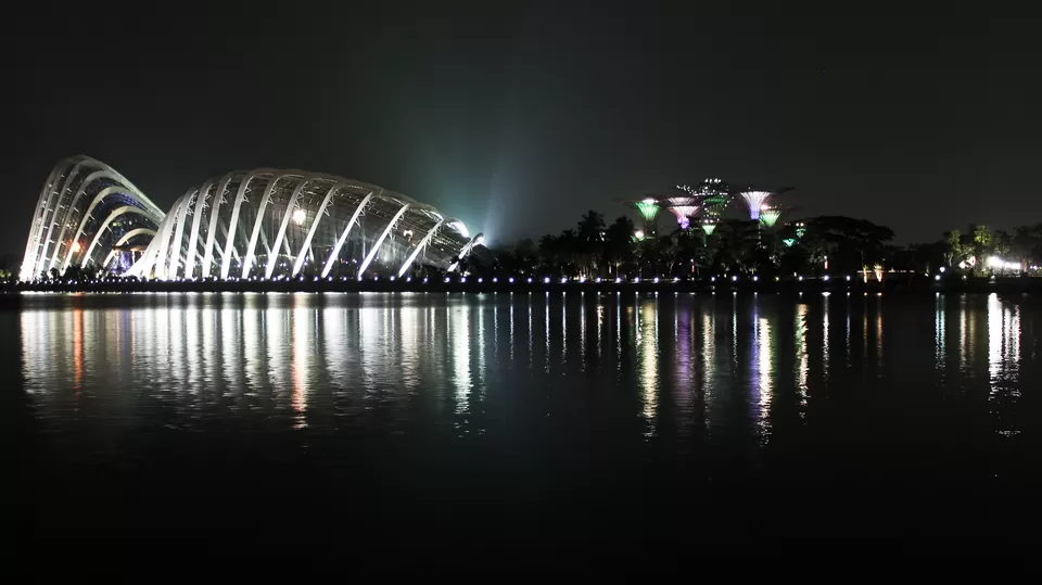 Photo of Gardens by the Bay Singapore by Dhrishni Chakraborti
