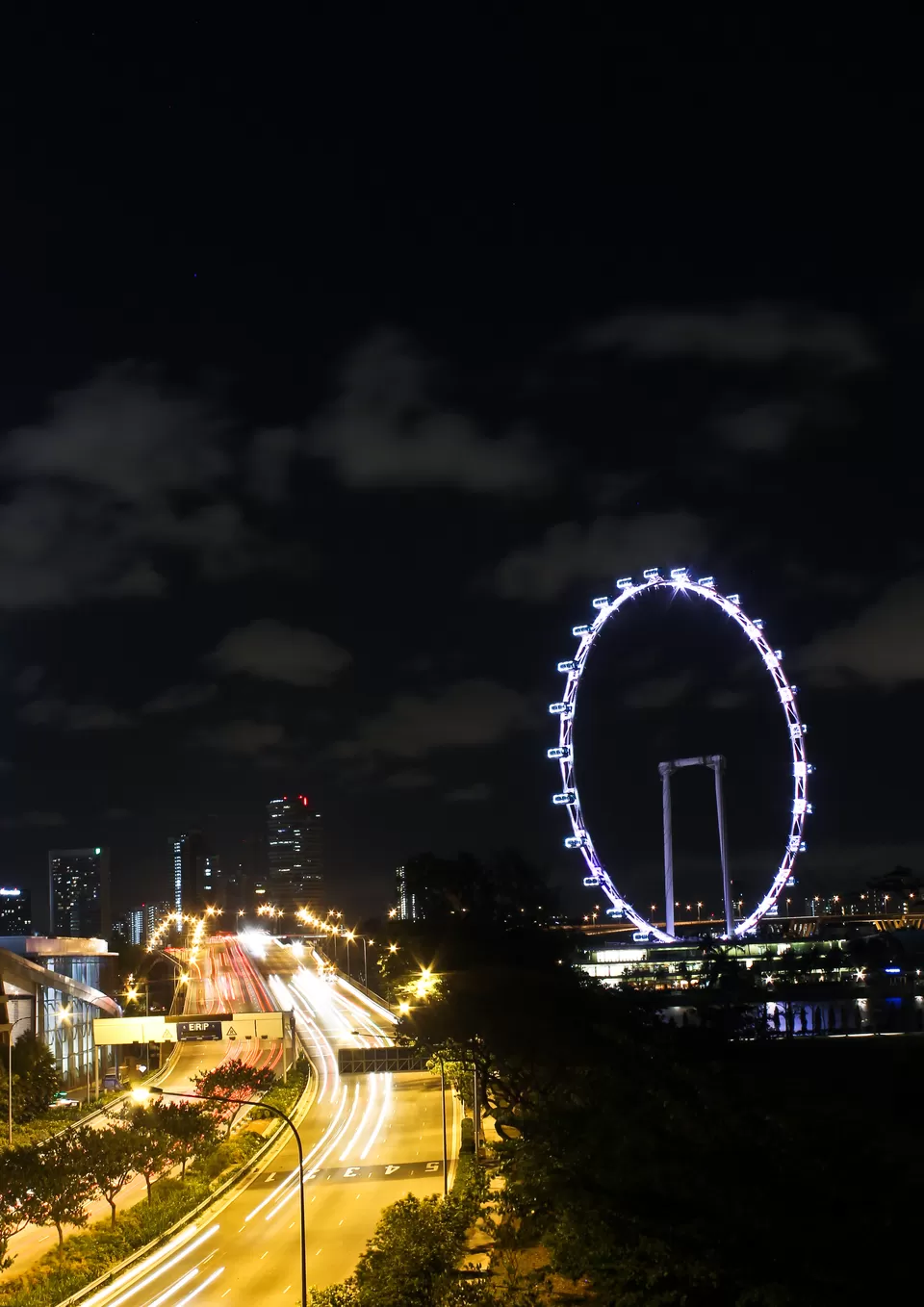 Photo of Singapore Flyer Singapore by Dhrishni Chakraborti