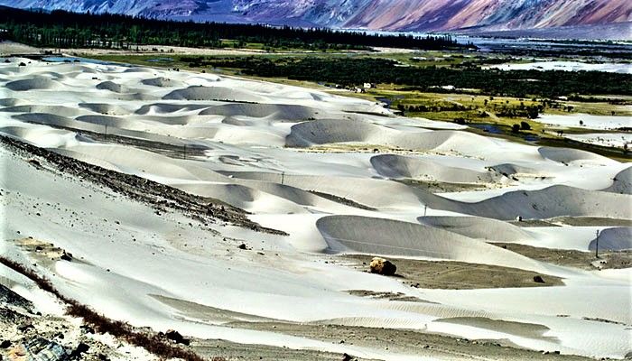 Photo of Nubra Valley by Anuj Girotra