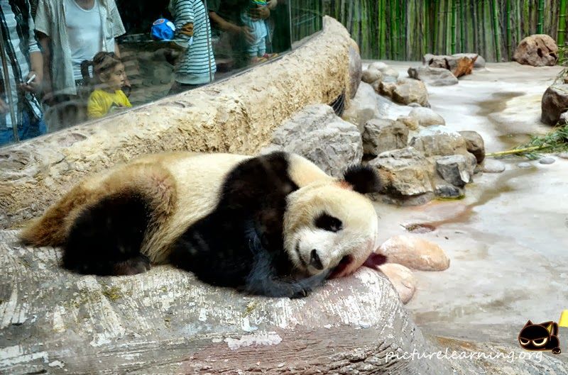 Photo of Beijing Zoo, Beijing, China by Jonway