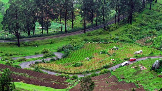 Photo of 18 Honeymoon Places in India For a Romantic Couples 4/18 by Ranjit Singh