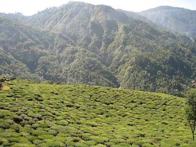 Photo of 18 Honeymoon Places in India For a Romantic Couples 5/18 by Ranjit Singh