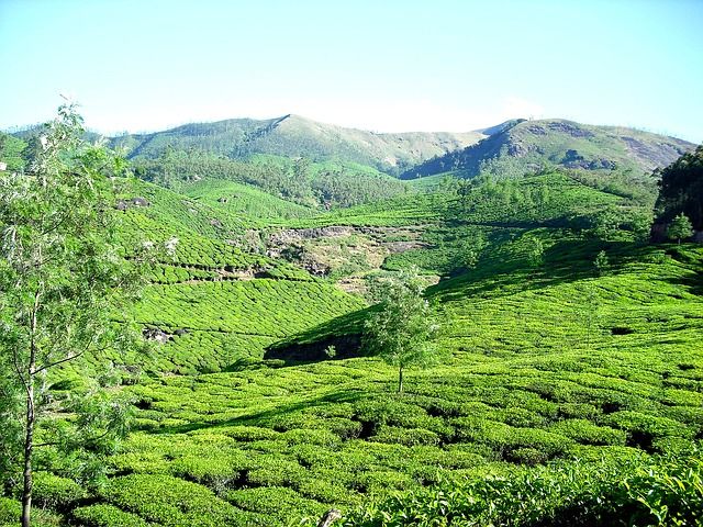 Photo of 18 Honeymoon Places in India For a Romantic Couples 9/18 by Ranjit Singh