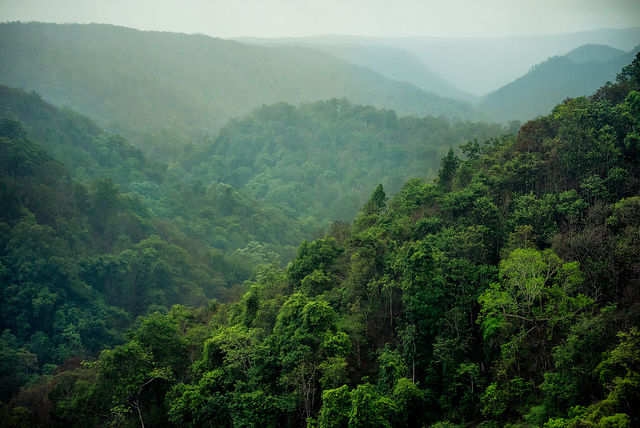 Photo of Dandeli - The Ultimate Guide for Real Travelers 1/5 by Ranjit Singh