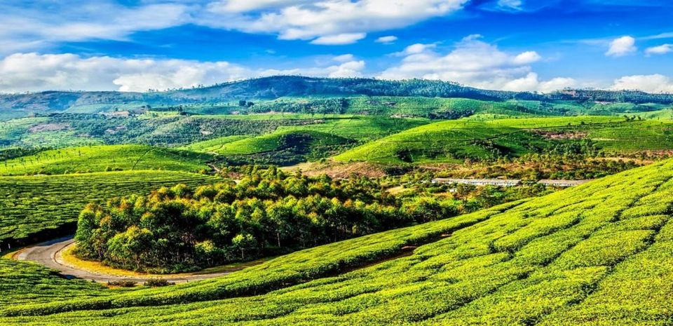 Photo of 14 Best Places To Visit In August In India In 2019 1/14 by Ranjit Singh