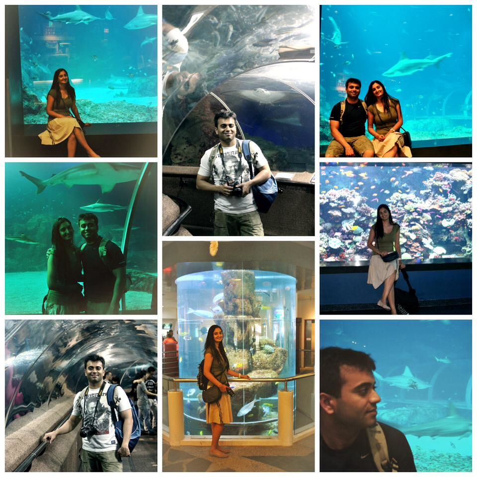 Photo of Superb Singapore 23/28 by Yuvika Sharma