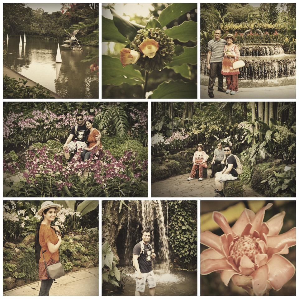 Photo of Superb Singapore 20/28 by Yuvika Sharma