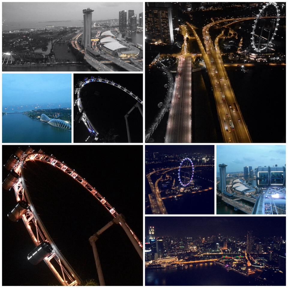 Photo of Superb Singapore 2/16 by Yuvika Sharma