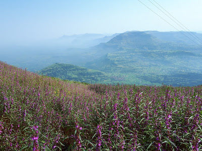 Photo of A Trek to Kalsubai - The highest scalable peak in Maharashtra by Sagar Pradhan