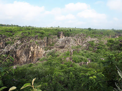 Photo of A trip to the mesmerizing Dhuandhar falls and Marble rocks at Bhedaghat Jabalpur by Sagar Pradhan
