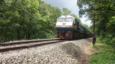 Photo of A day trip to Dudhsagar waterfalls with Jungle trek by Sagar Pradhan