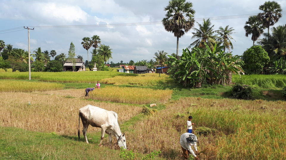 Photo of Kampot Province, Cambodia by Sagar Pradhan