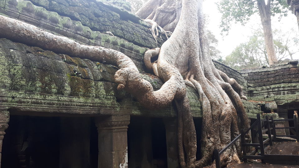 Photo of Ta Prohm Temple, Banteay Chhmar, Cambodia by Sagar Pradhan