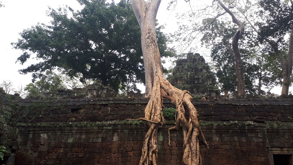 Photo of Ta Prohm Temple, Banteay Chhmar, Cambodia by Sagar Pradhan