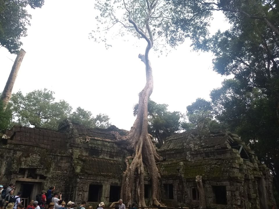 Photo of Ta Prohm Temple, Banteay Chhmar, Cambodia by Sagar Pradhan