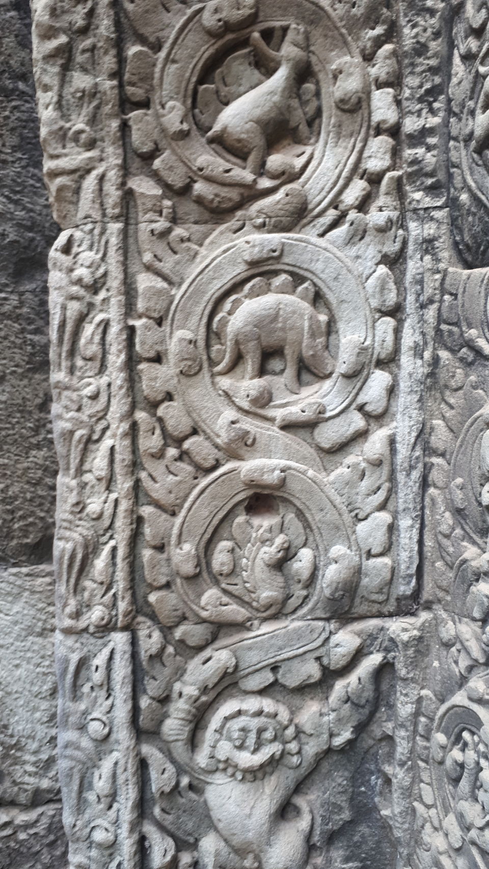 Photo of Ta Prohm Temple, Banteay Chhmar, Cambodia by Sagar Pradhan
