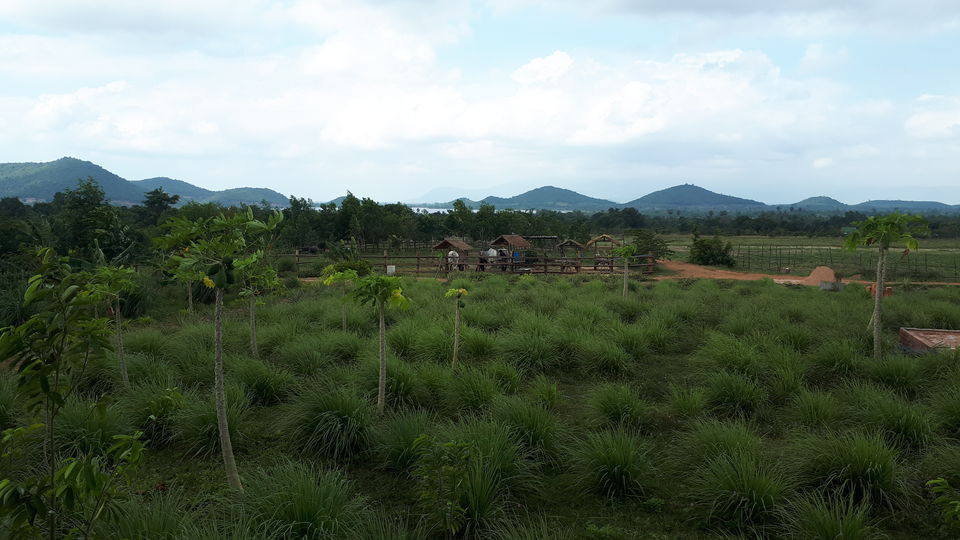 Photo of Cambodia in November- A land of spectacular ruins and a lesson in importance of freedom 31/42 by Sagar Pradhan