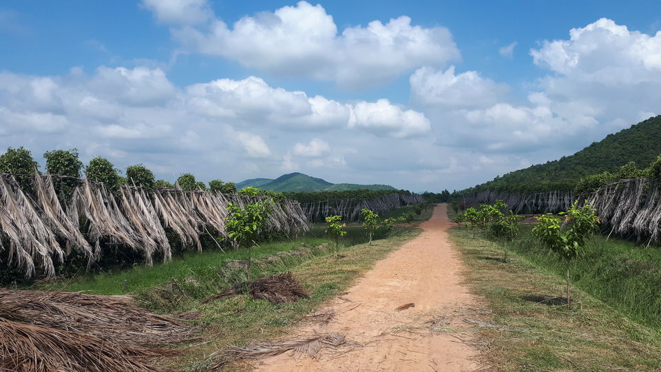 Photo of Cambodia in November- A land of spectacular ruins and a lesson in importance of freedom 32/42 by Sagar Pradhan