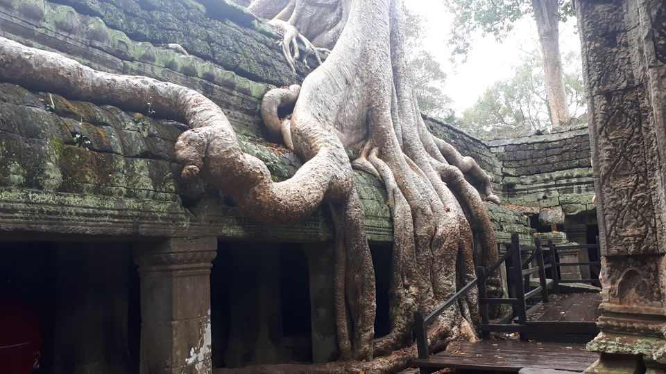 Photo of Cambodia in November- A land of spectacular ruins and a lesson in importance of freedom 8/42 by Sagar Pradhan