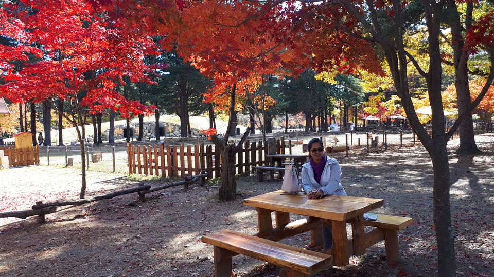 Photo of Nami Island, Namisum-gil, Namsan-myeon, Chuncheon-si, Gangwon-do, South Korea by Sagar Pradhan