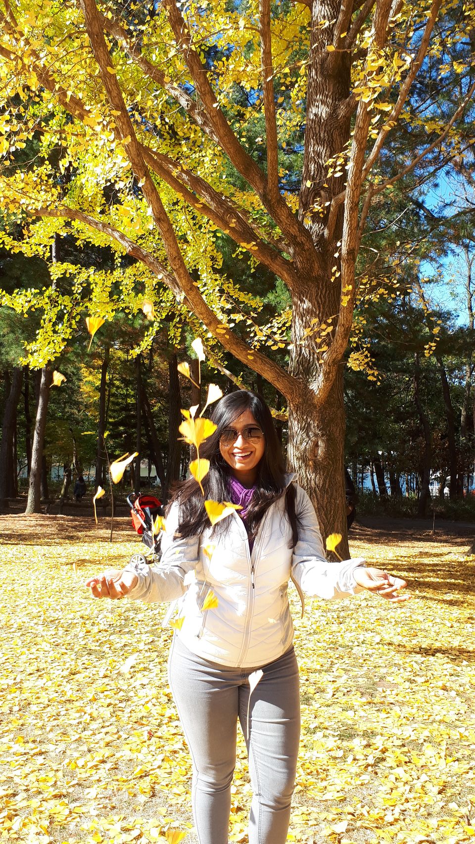 Photo of Nami Island, Namisum-gil, Namsan-myeon, Chuncheon-si, Gangwon-do, South Korea by Sagar Pradhan
