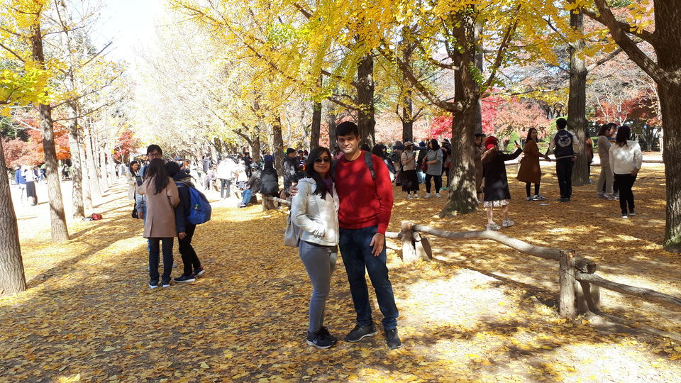 Photo of Nami Island, Namisum-gil, Namsan-myeon, Chuncheon-si, Gangwon-do, South Korea by Sagar Pradhan