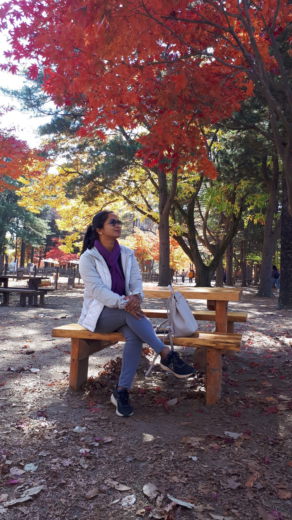 Photo of Nami Island, Namisum-gil, Namsan-myeon, Chuncheon-si, Gangwon-do, South Korea by Sagar Pradhan