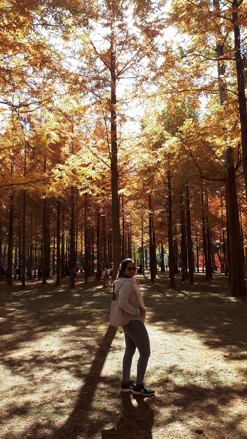 Photo of Nami Island, Namisum-gil, Namsan-myeon, Chuncheon-si, Gangwon-do, South Korea by Sagar Pradhan