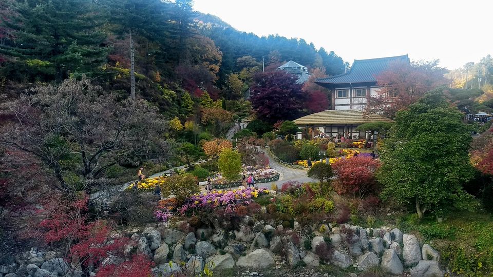 Photo of Garden of Morning Calm, Sumogwon-ro, Sang-myeon, 상면 Gapyeong-gun, Gyeonggi-do, South Korea by Sagar Pradhan