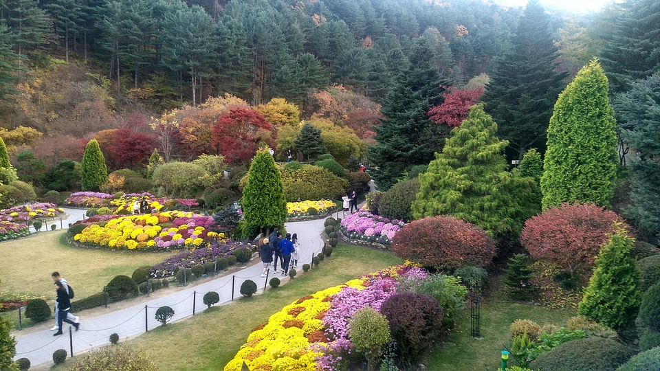 Photo of Garden of Morning Calm, Sumogwon-ro, Sang-myeon, 상면 Gapyeong-gun, Gyeonggi-do, South Korea by Sagar Pradhan
