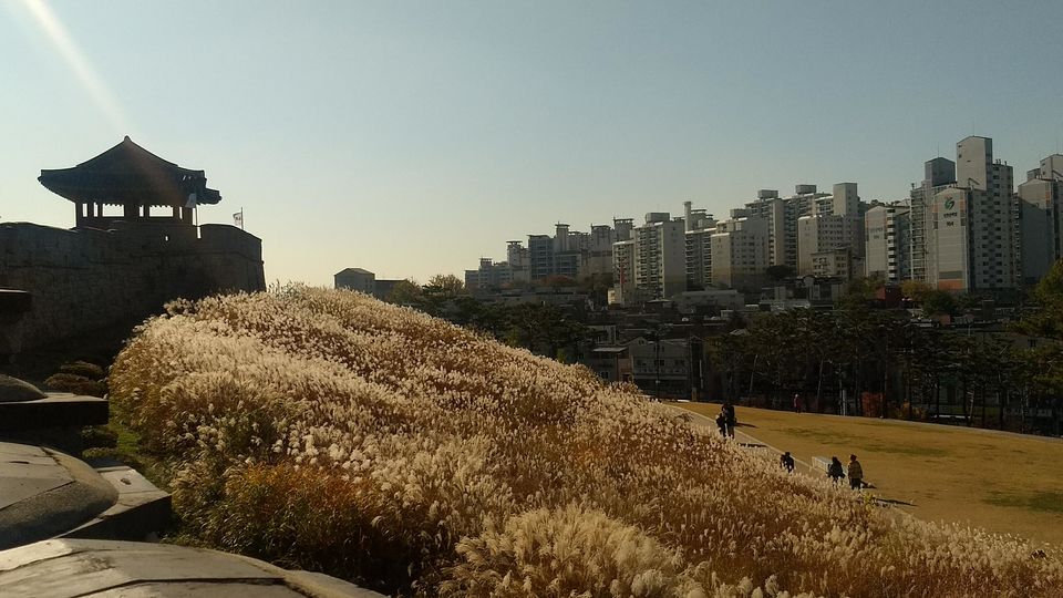 Photo of Suwon, Gyeonggi-do, South Korea by Sagar Pradhan