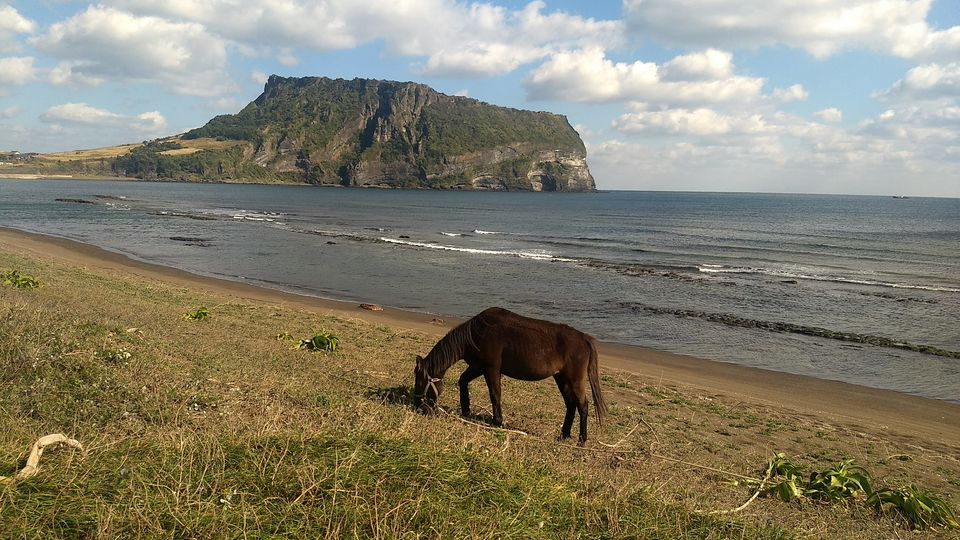 Photo of Gwangchigi Beach, Seongsan-eup, Seogwipo-si by Sagar Pradhan