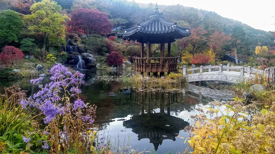 Photo of Two weeks in South Korea for an Indian traveller by Sagar Pradhan