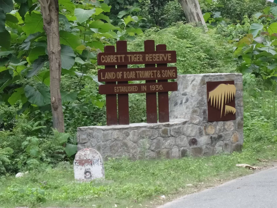 Photo of Corbett National Park Jeep Safari, Canal Colony, Ramnagar, Uttarakhand, India by Khushi Insta @khushircaptures