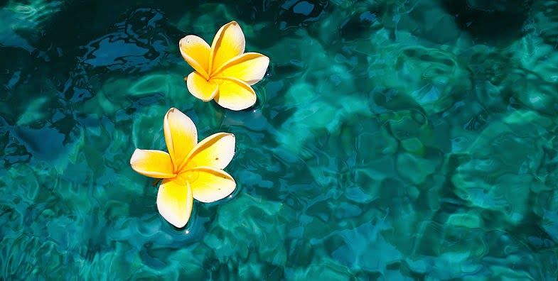 Photo of BALI: not an experience, but a travel wish 6/14 by Khushi Insta @khushircaptures