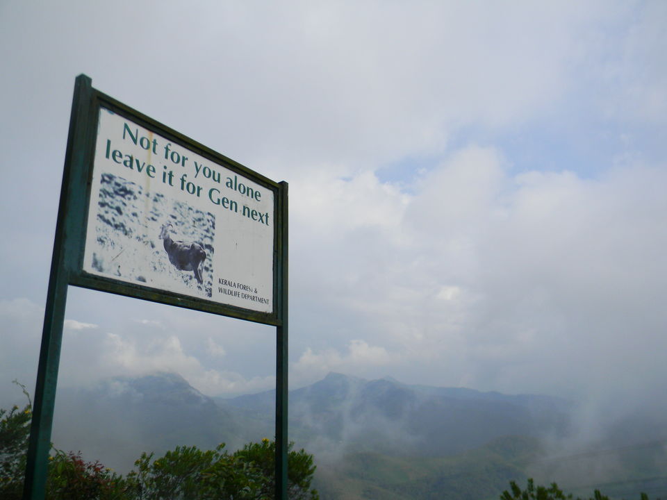 Photo of Unrivaled Munnar - Kerala Destination 1 8/19 by Khushi Insta @khushircaptures