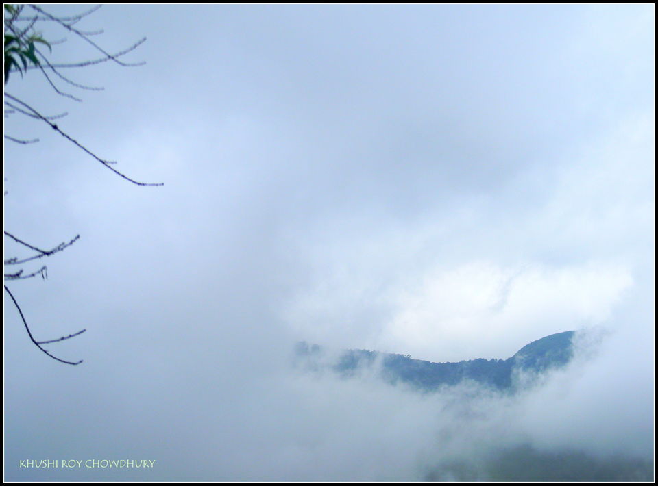 Photo of Unrivaled Munnar - Kerala Destination 1 11/19 by Khushi Insta @khushircaptures