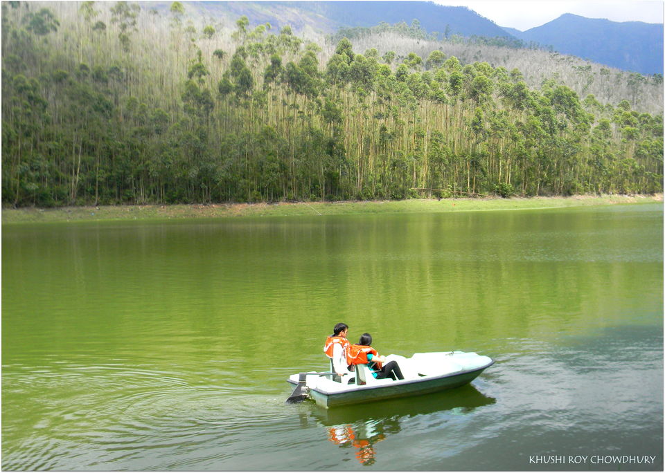 Photo of Unrivaled Munnar - Kerala Destination 1 16/19 by Khushi Insta @khushircaptures