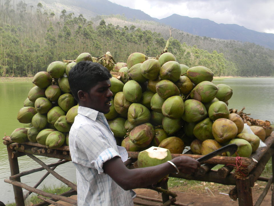 Water filter in kerala