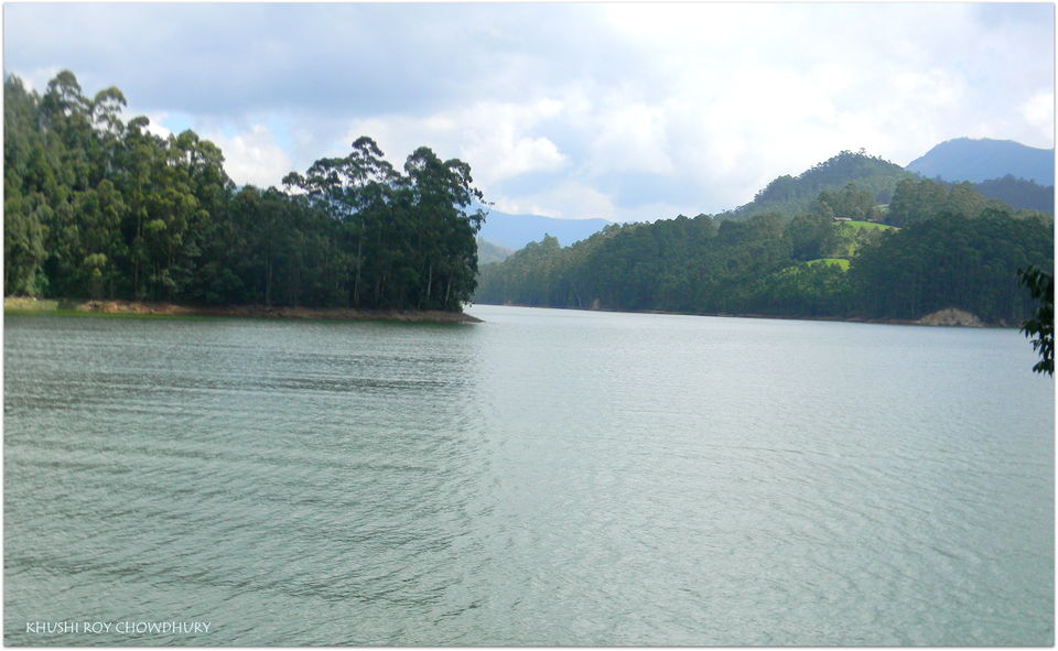 Photo of Unrivaled Munnar - Kerala Destination 1 18/19 by Khushi Insta @khushircaptures
