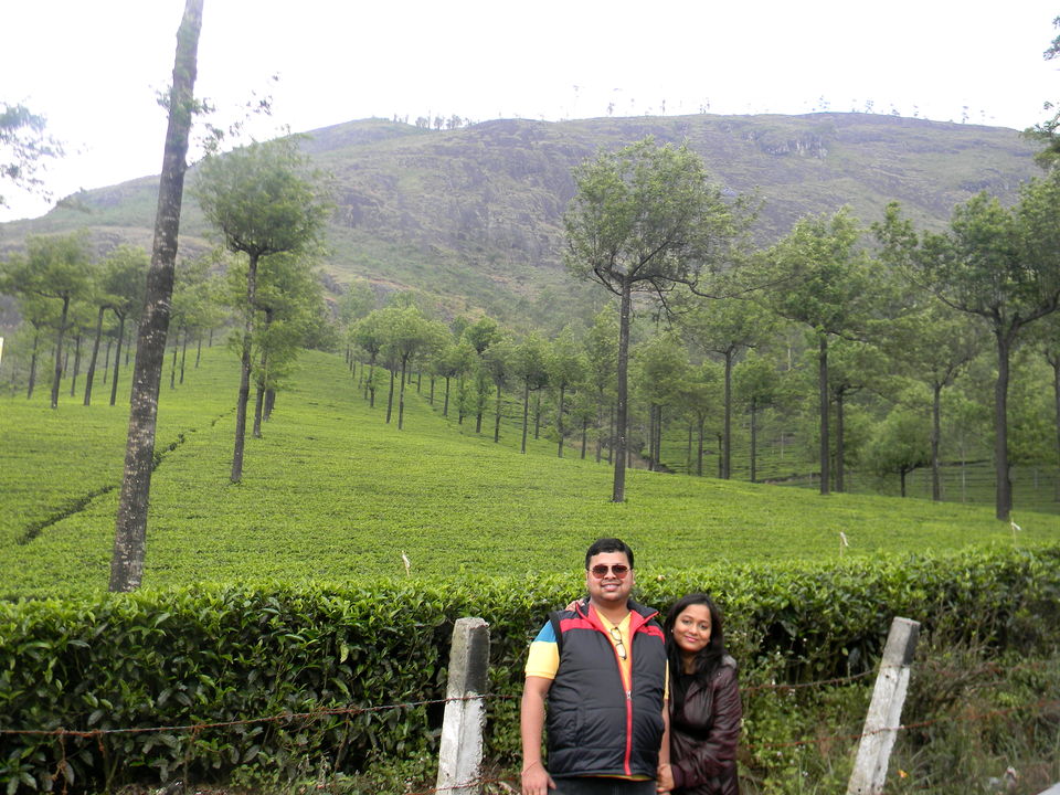 Photo of Unrivaled Munnar - Kerala Destination 1 19/19 by Khushi Insta @khushircaptures