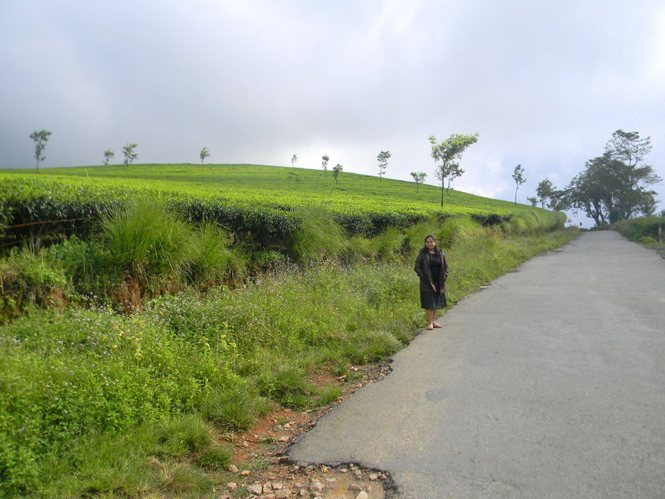 Photo of Unrivaled Munnar - Kerala Destination 1 2/19 by Khushi Insta @khushircaptures