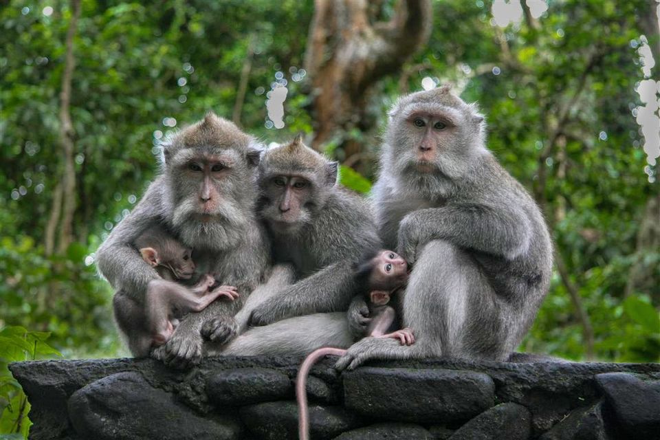 Photo of BALI: not an experience, but a travel wish 9/14 by Khushi Insta @khushircaptures